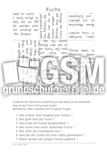 Fuchs.pdf